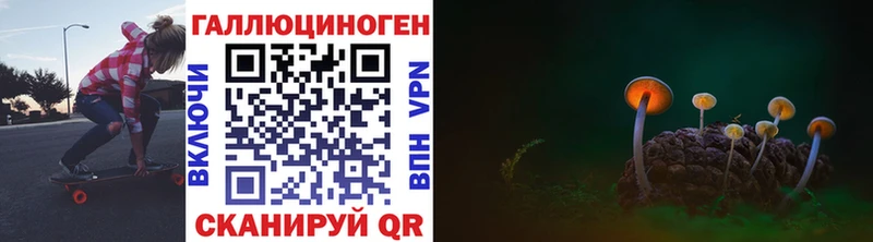 shop официальный сайт Новокубанск Псилоцибиновые грибы мицелий